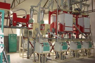 【面粉機組、面粉機成套設(shè)備專業(yè)的生產(chǎn)廠家】