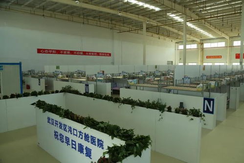 匠心筑路獻(xiàn)華誕，車(chē)都集團(tuán)以工匠精神打造公路工程精品